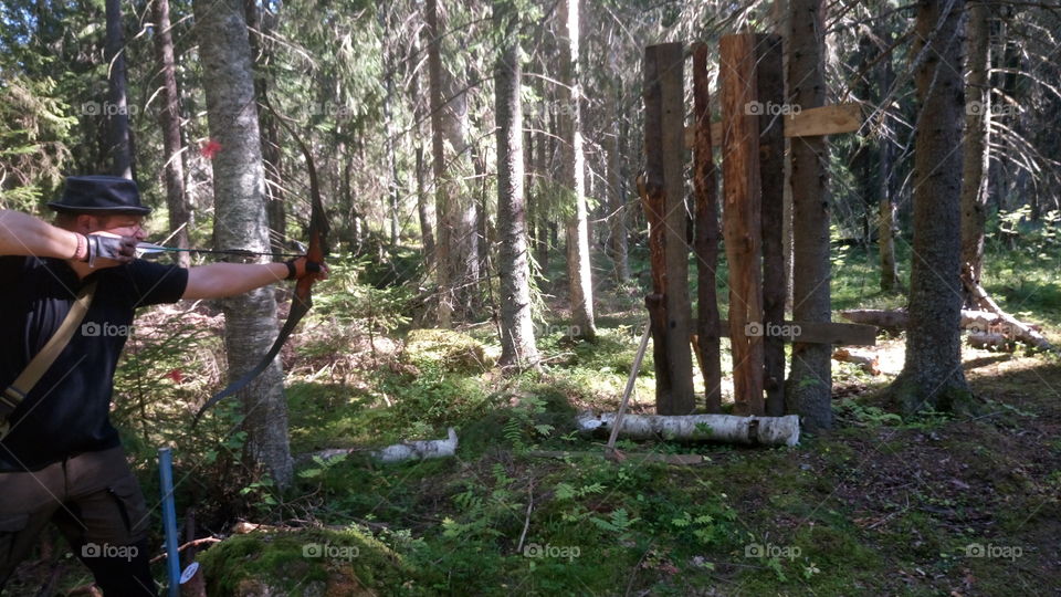 Wood, Tree, Landscape, Environment, Daylight