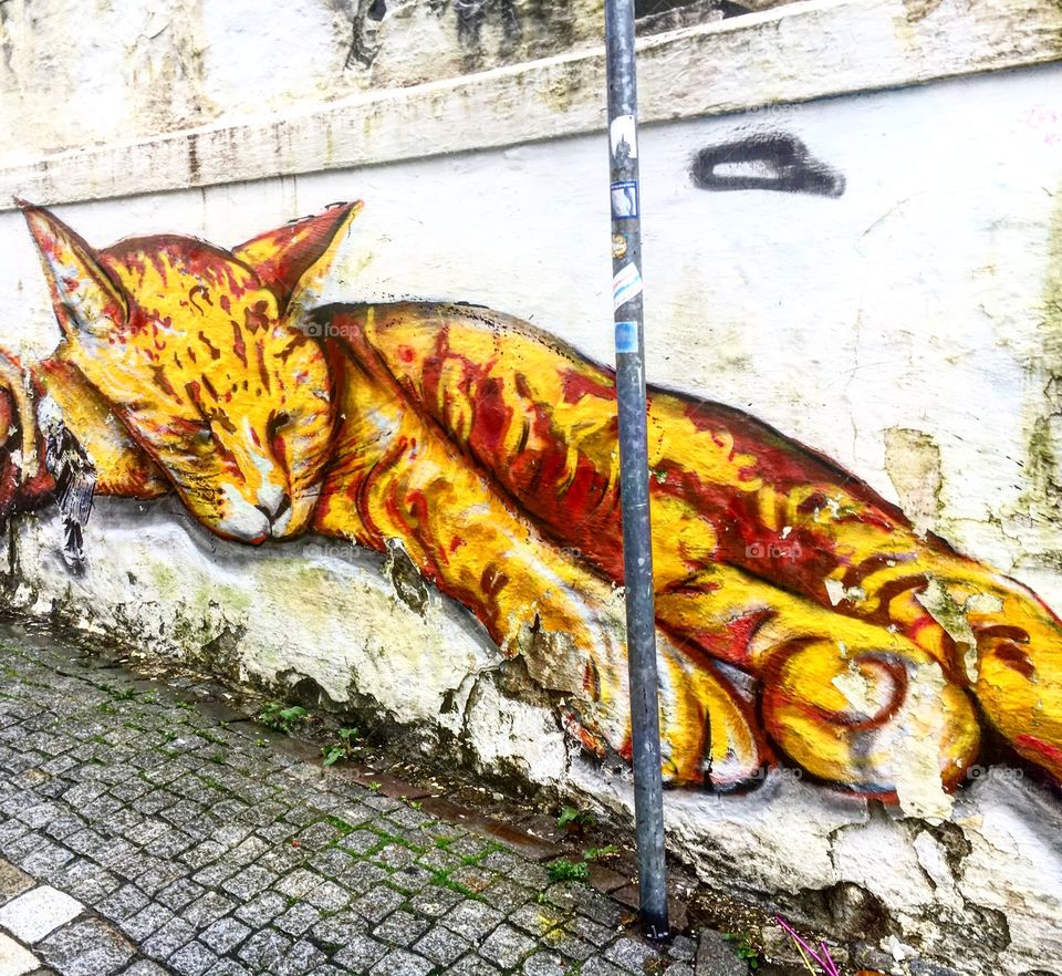 Sleeping cat graffiti in Bergen 