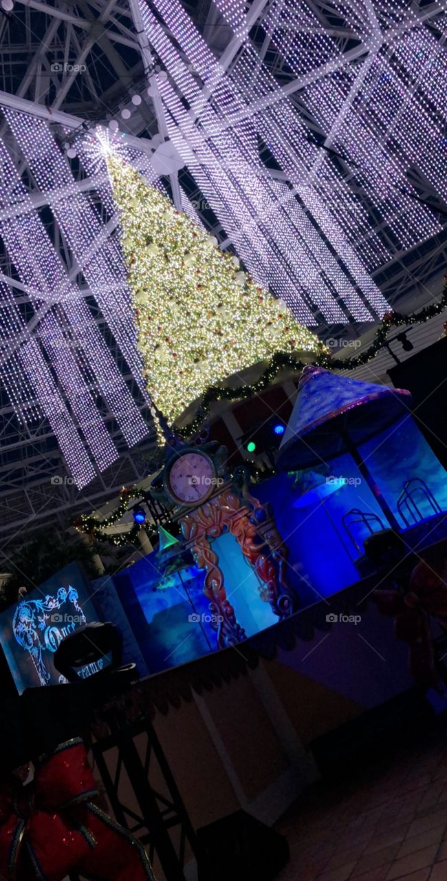 Gaylord palms Christmas tree and lights