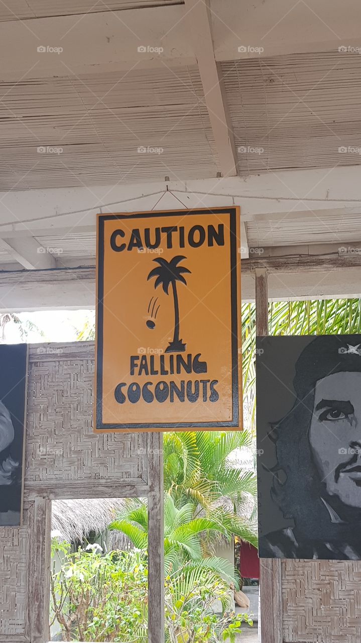 Beware of the coconuts