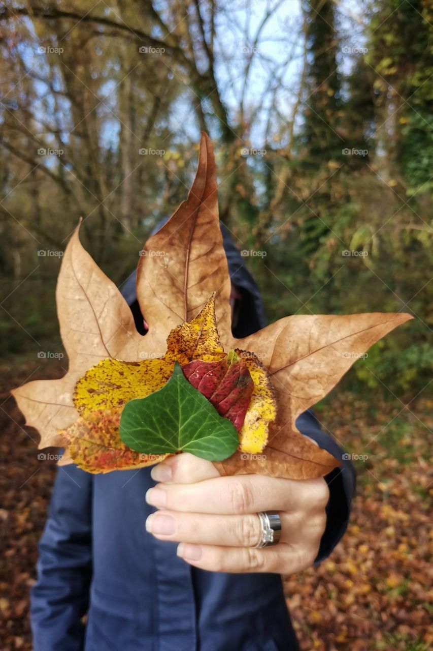 A bouquet of autumn leaves