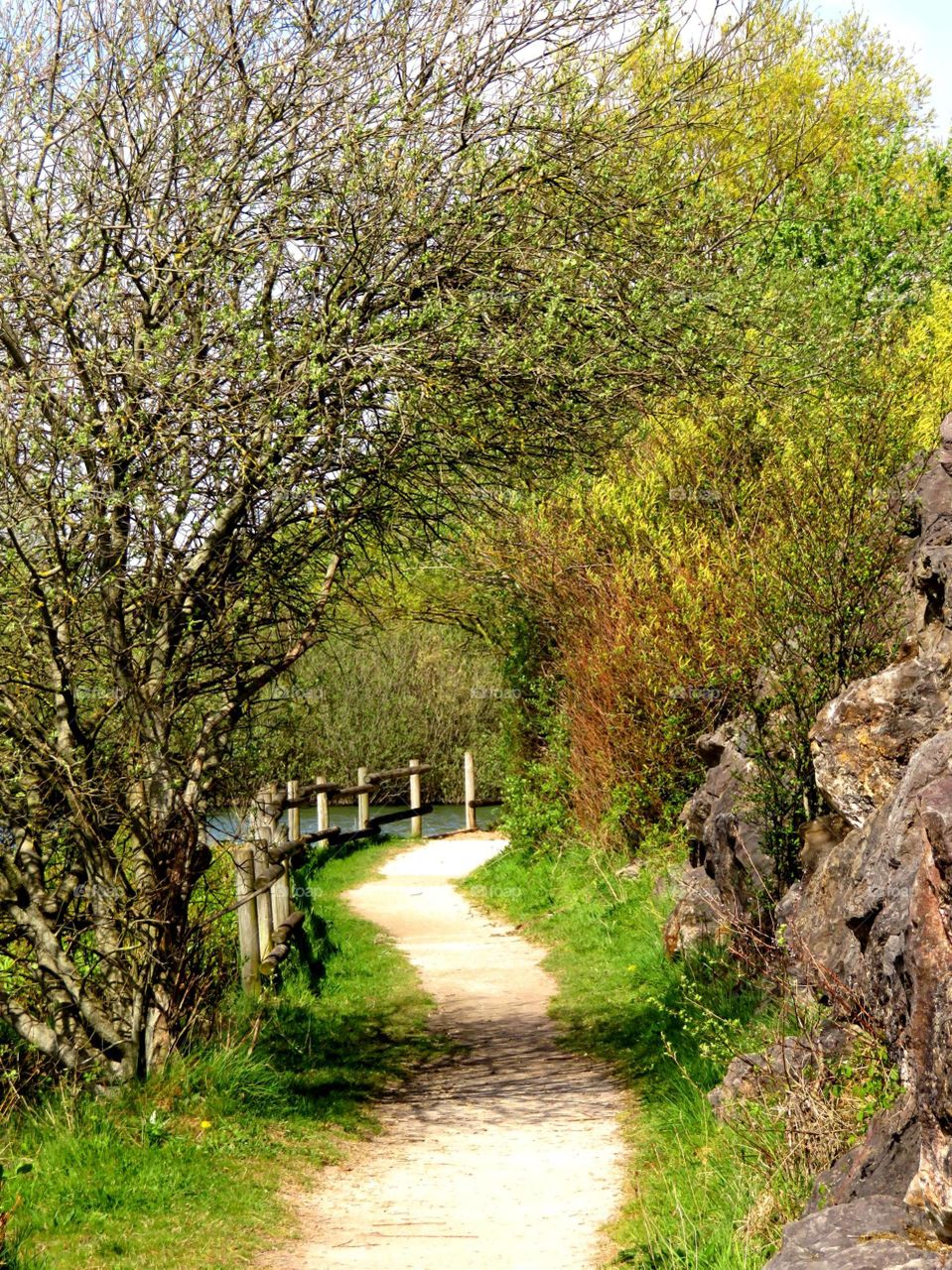 Hiking trails