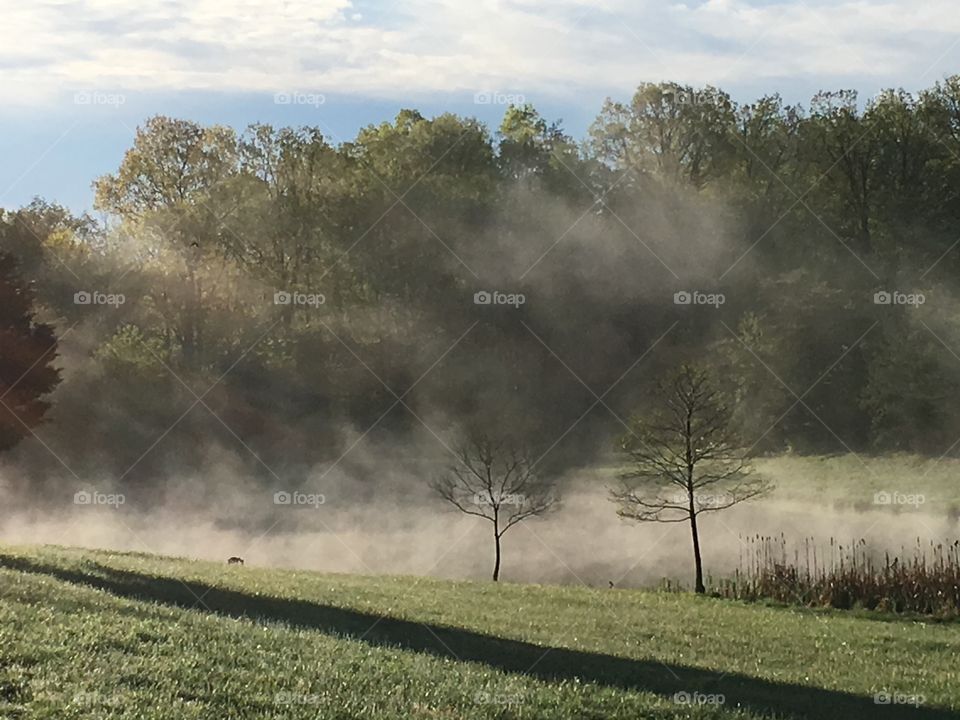 Early spring morning mist rising from the pond.
