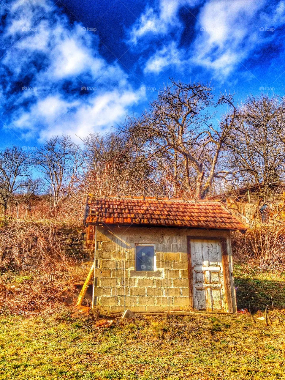 cabine