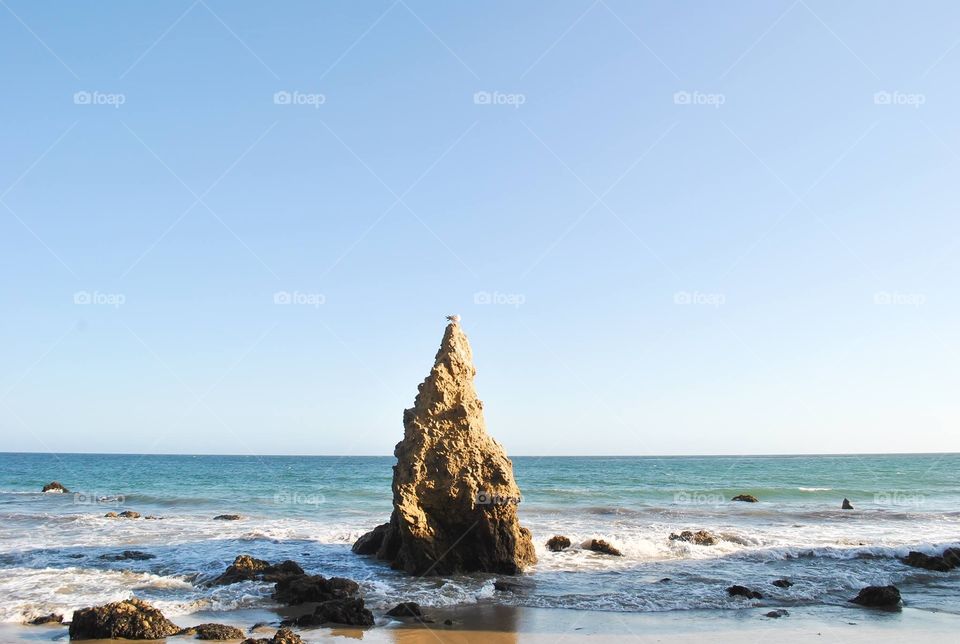 Seagull on a sea rock 