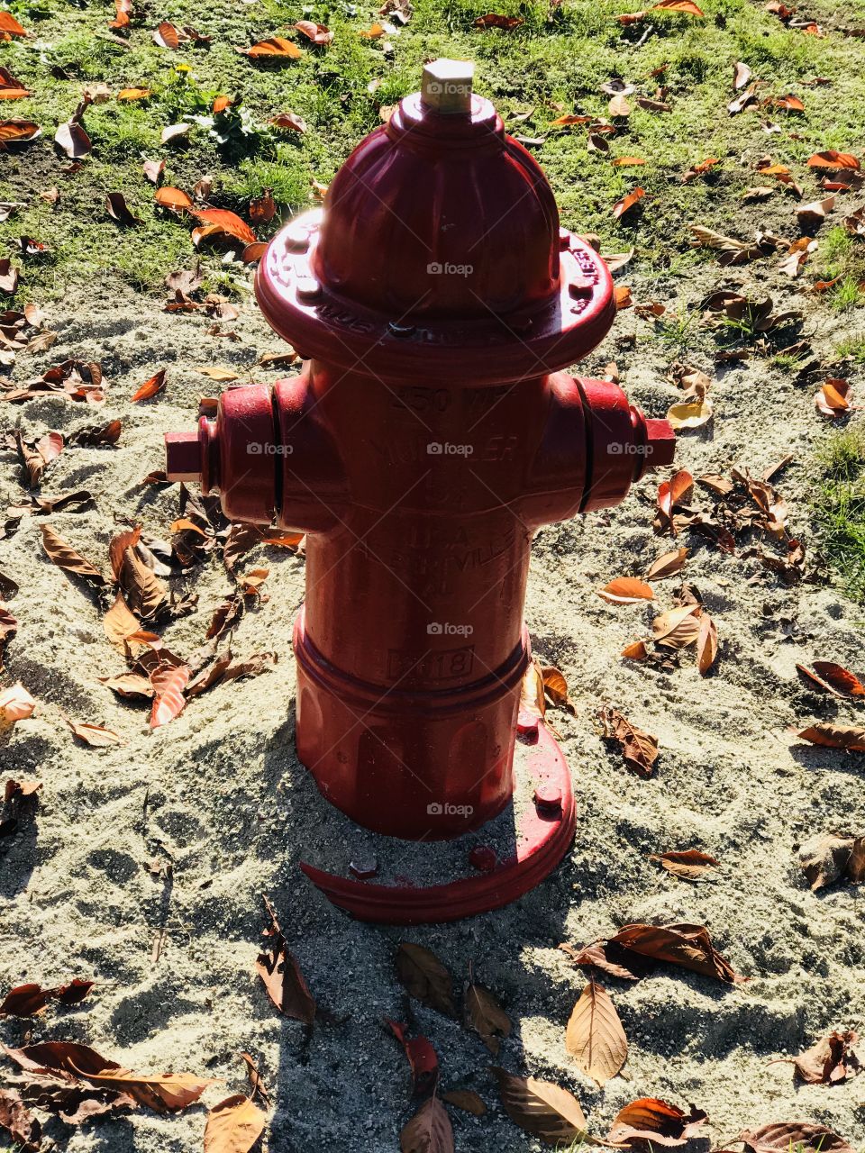 Red fire hydrant 