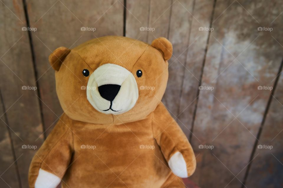 Teddy bear isolated on blurred background 