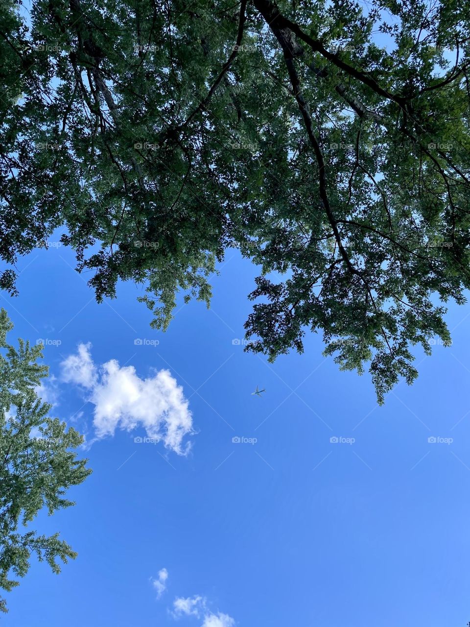 Looking up from the backyard, seeing a plane overhead in your backyard, near the Air Force base 