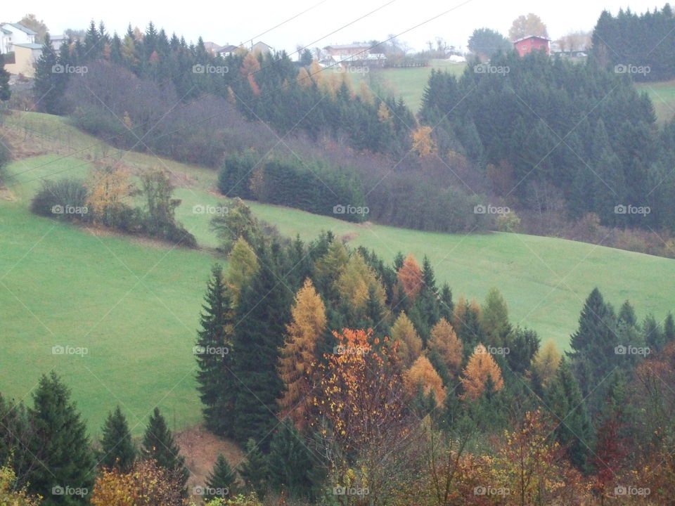 fall in the mountains