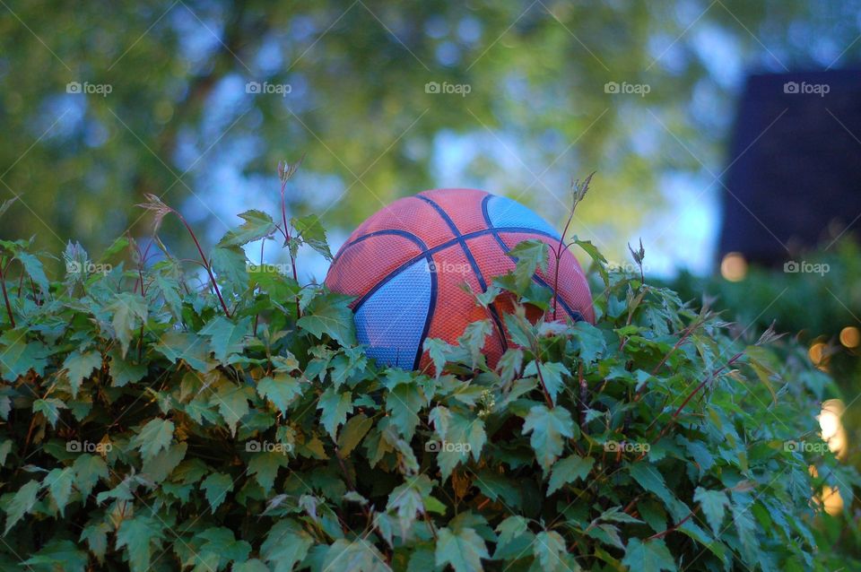 ball