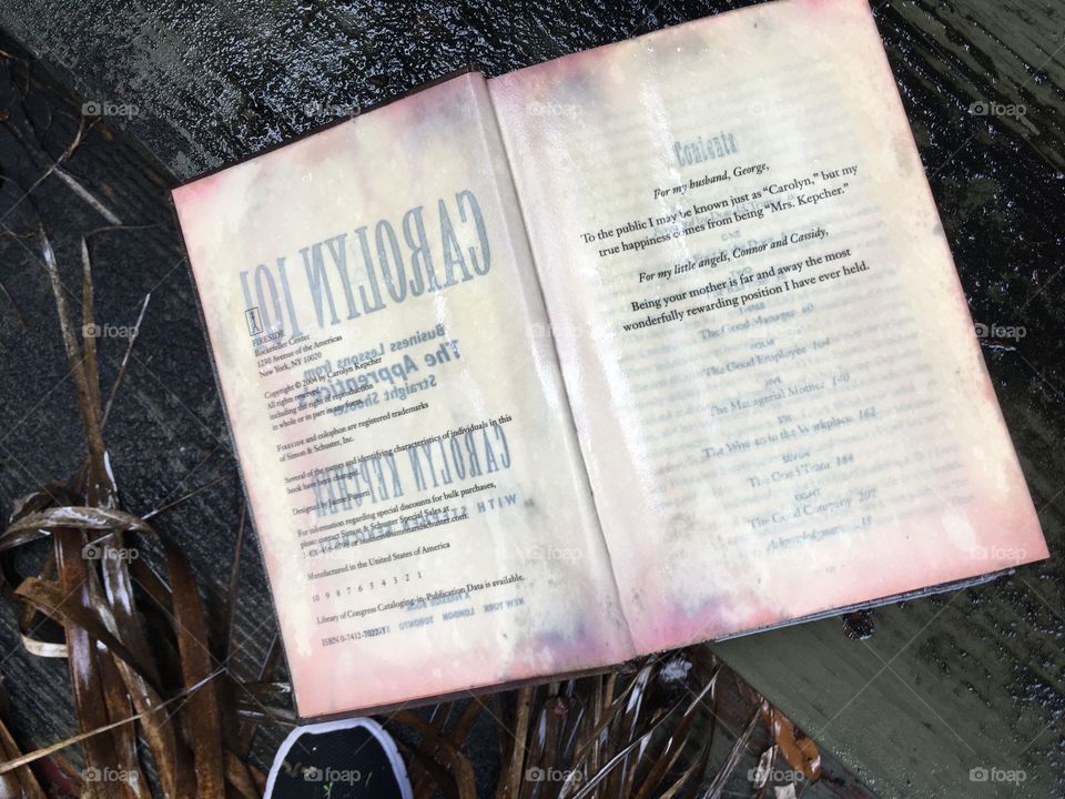 Wet book left at Abandoned Jungleland Zoo
