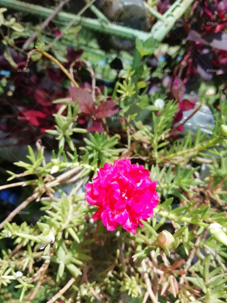 It's a great day of meeting these beautiful ladies #flowers