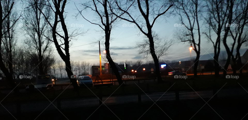Road, Landscape, Light, Tree, Weather
