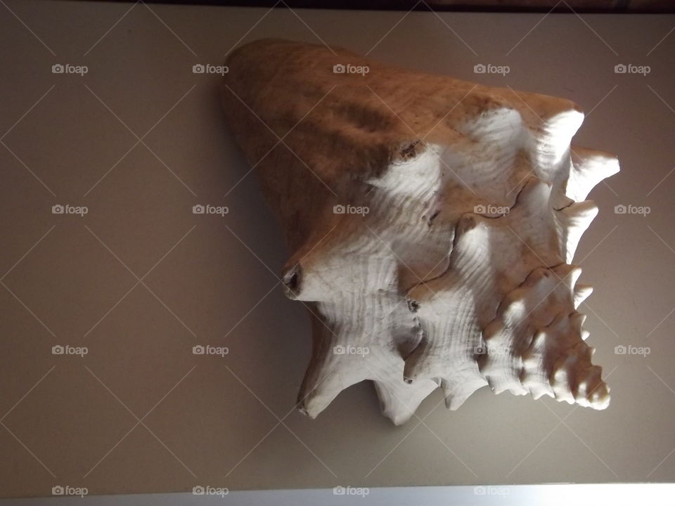 warm countries sinks