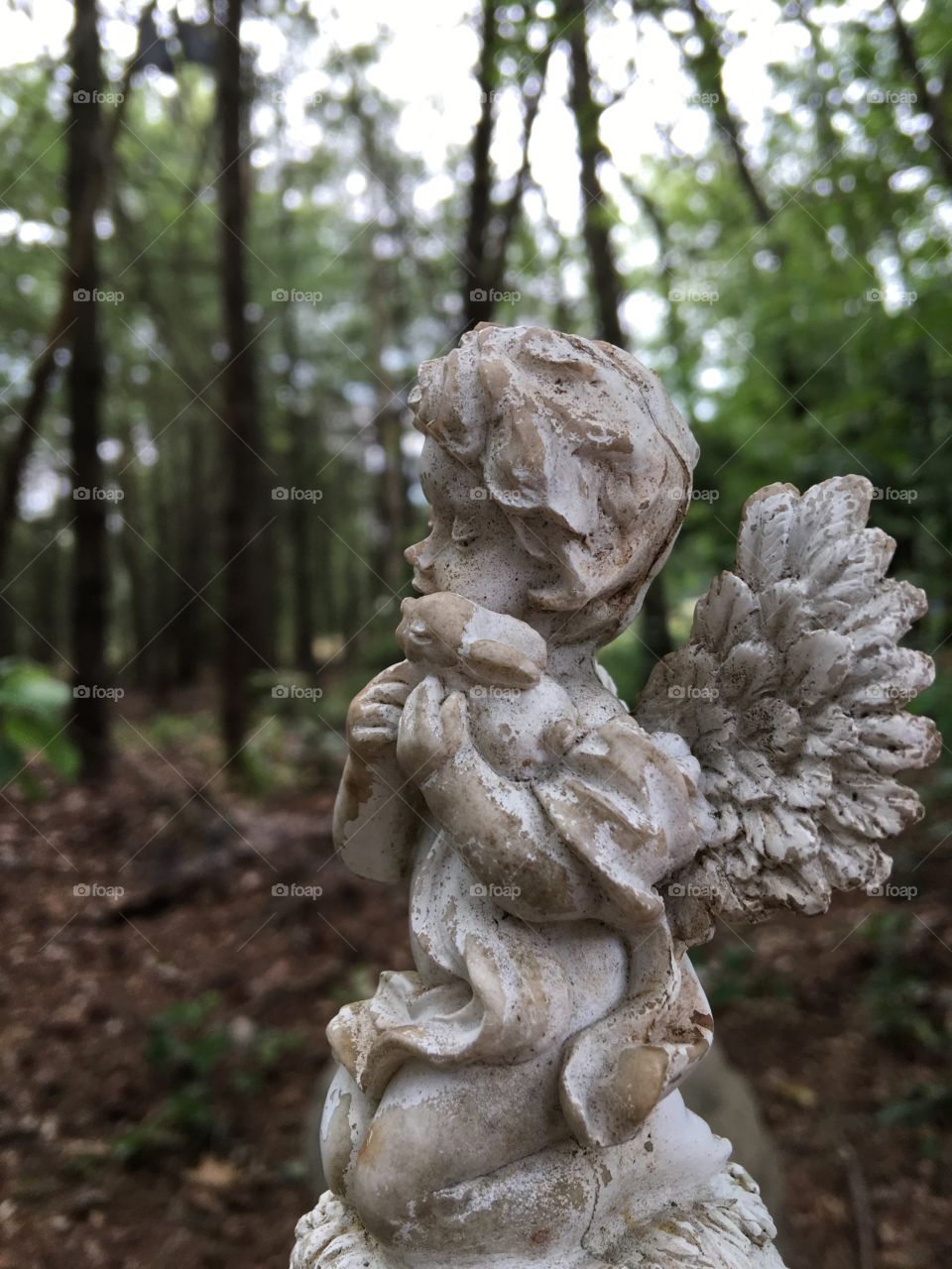 Baby Angel Kneeling On Grave Near The Woodlands😇
