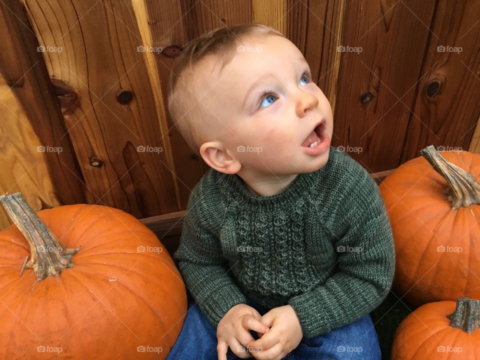 Pumpkin, Halloween, Thanksgiving, Fall, Gourd