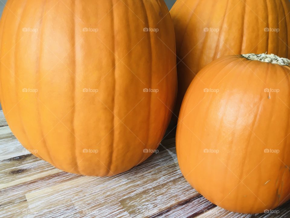 Pumpkins. Beautiful, shiny and bright orange pumpkins. Sitting on a rustic wooden table. A real autumnal feel. 