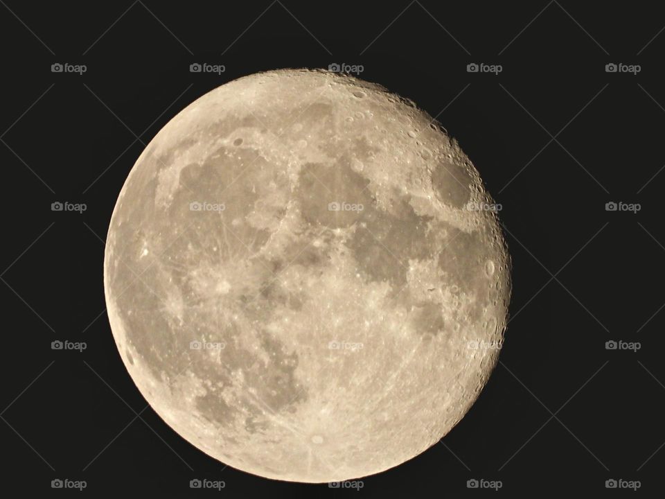 Best of 2021: Nature - The Moon is Earth's only natural satellite. The celestial spectacle is "a time to come together with fellow Moon enthusiasts and curious people worldwide