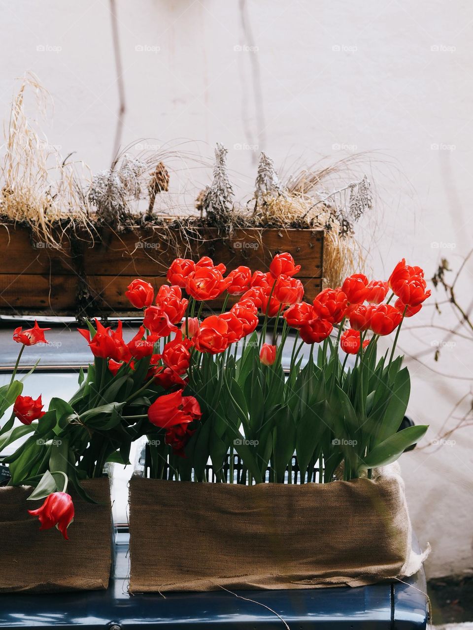 Bunch beautiful red tulips in craft box standing on car