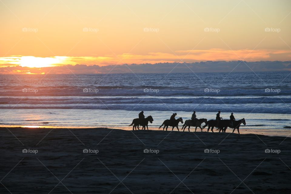 Sunset, beach, horses 