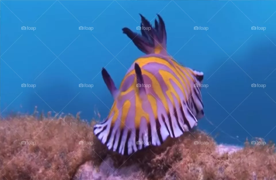 Under water
