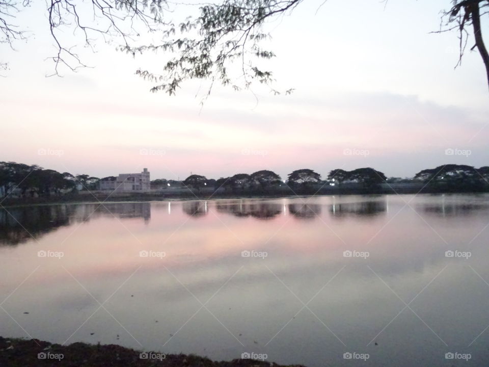 Reflection, Lake, Water, Landscape, Tree