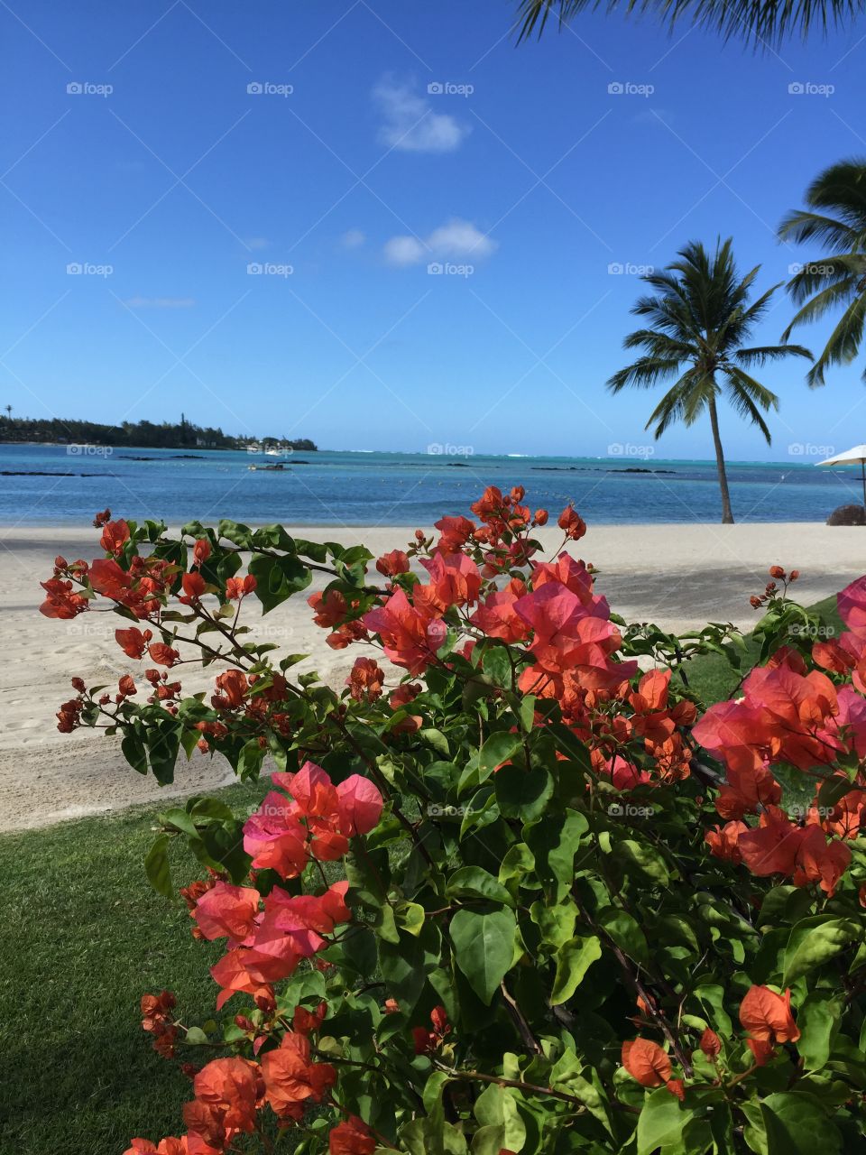 Mauritius beaches . Taken at Le Prince Maurice hotel 