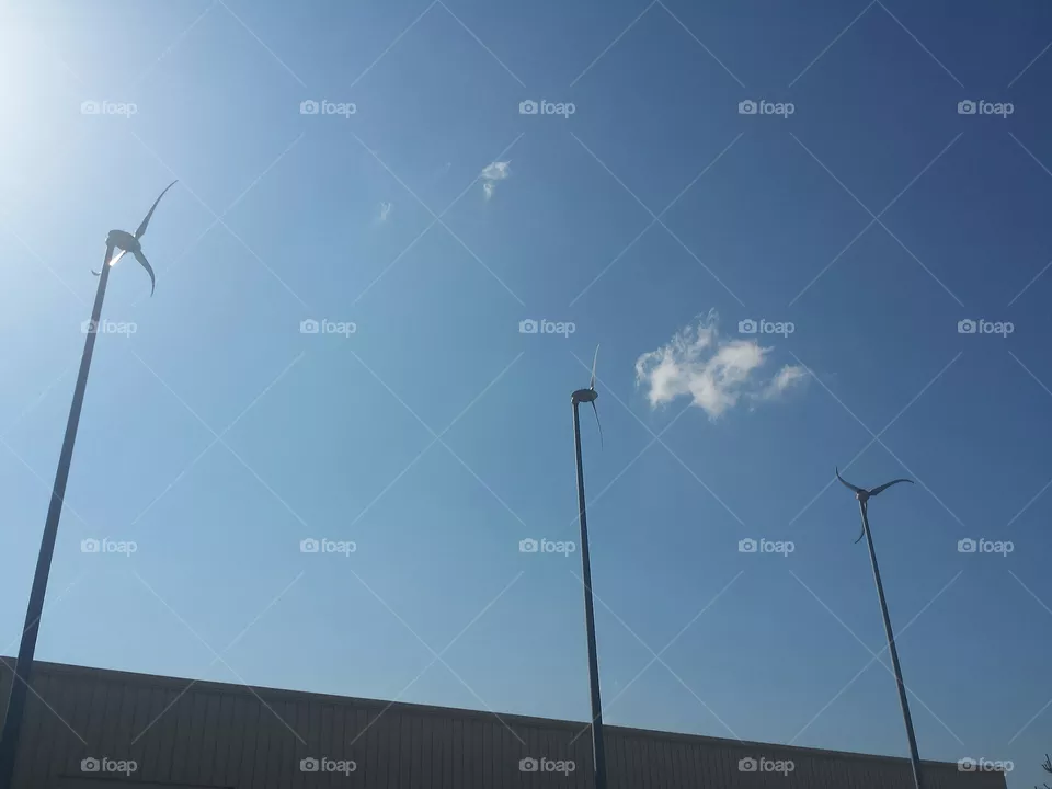 summer windmills