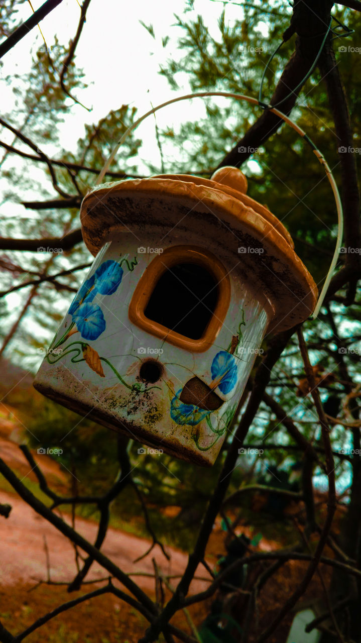 birdhouse