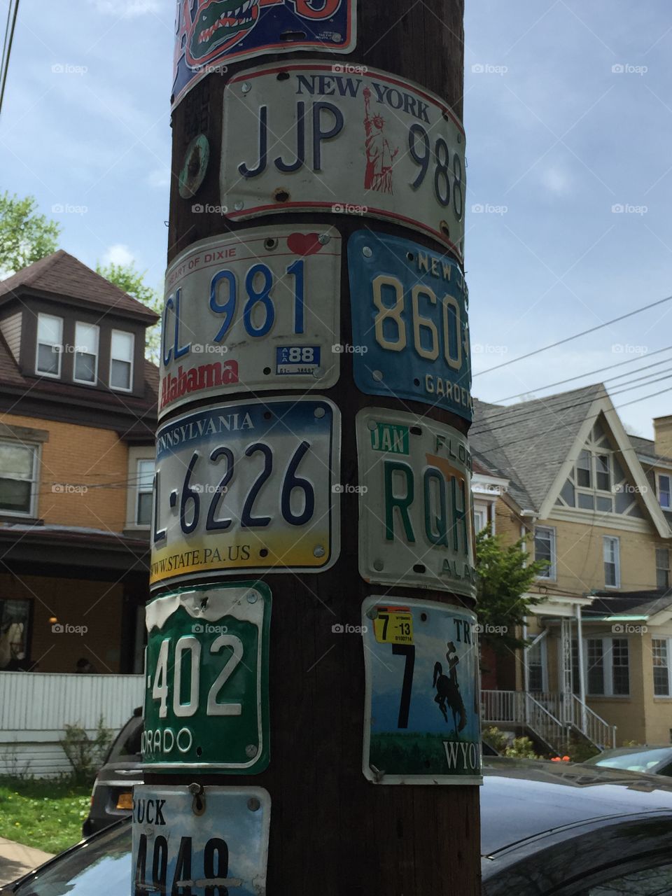 License plates on a telephone pole