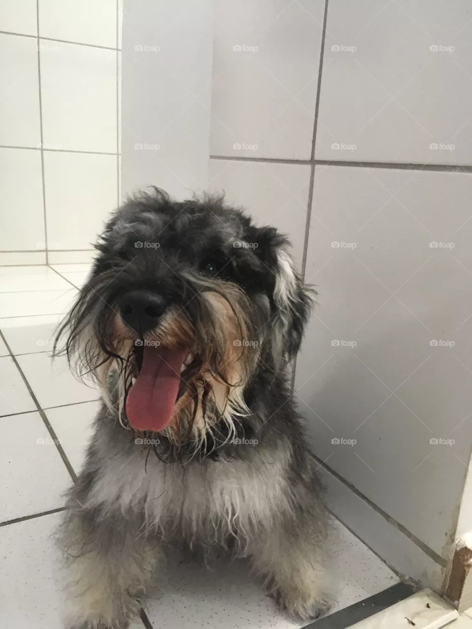 Loki 
