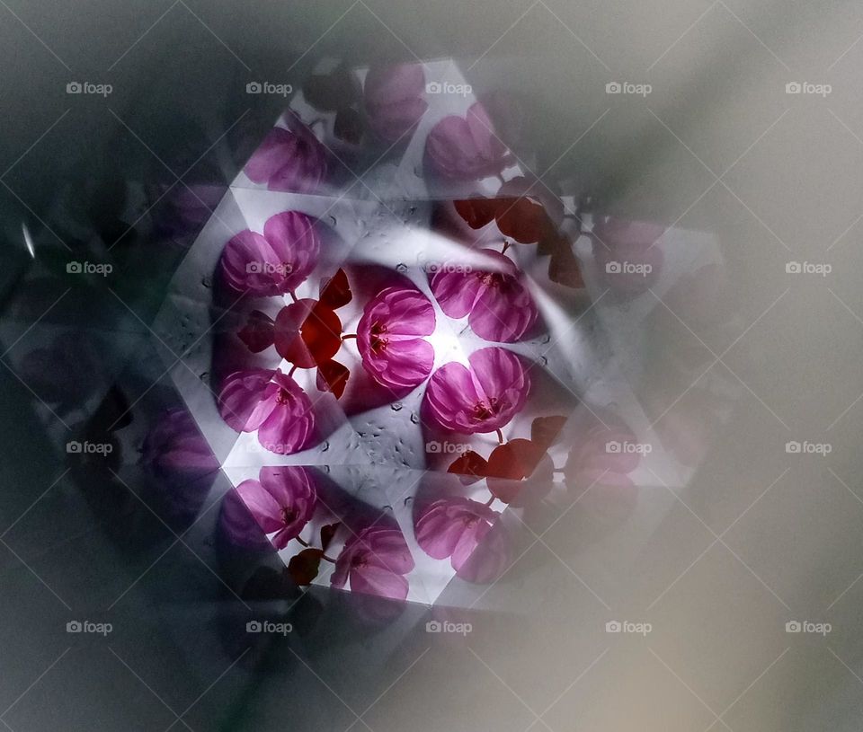 close-up purple flower in the corner