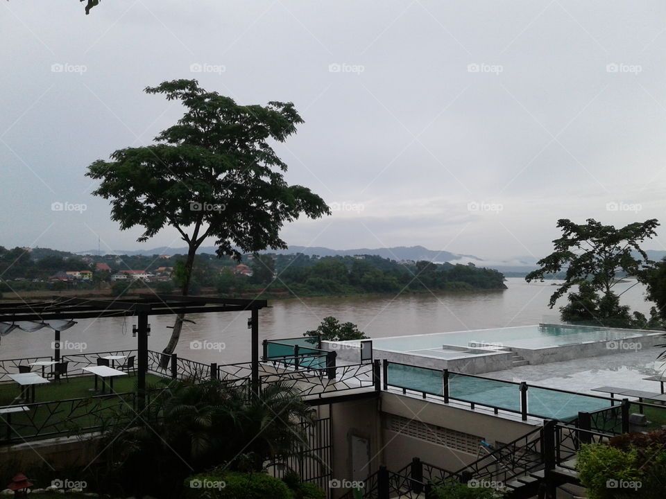 Tree, Water, No Person, Travel, Landscape