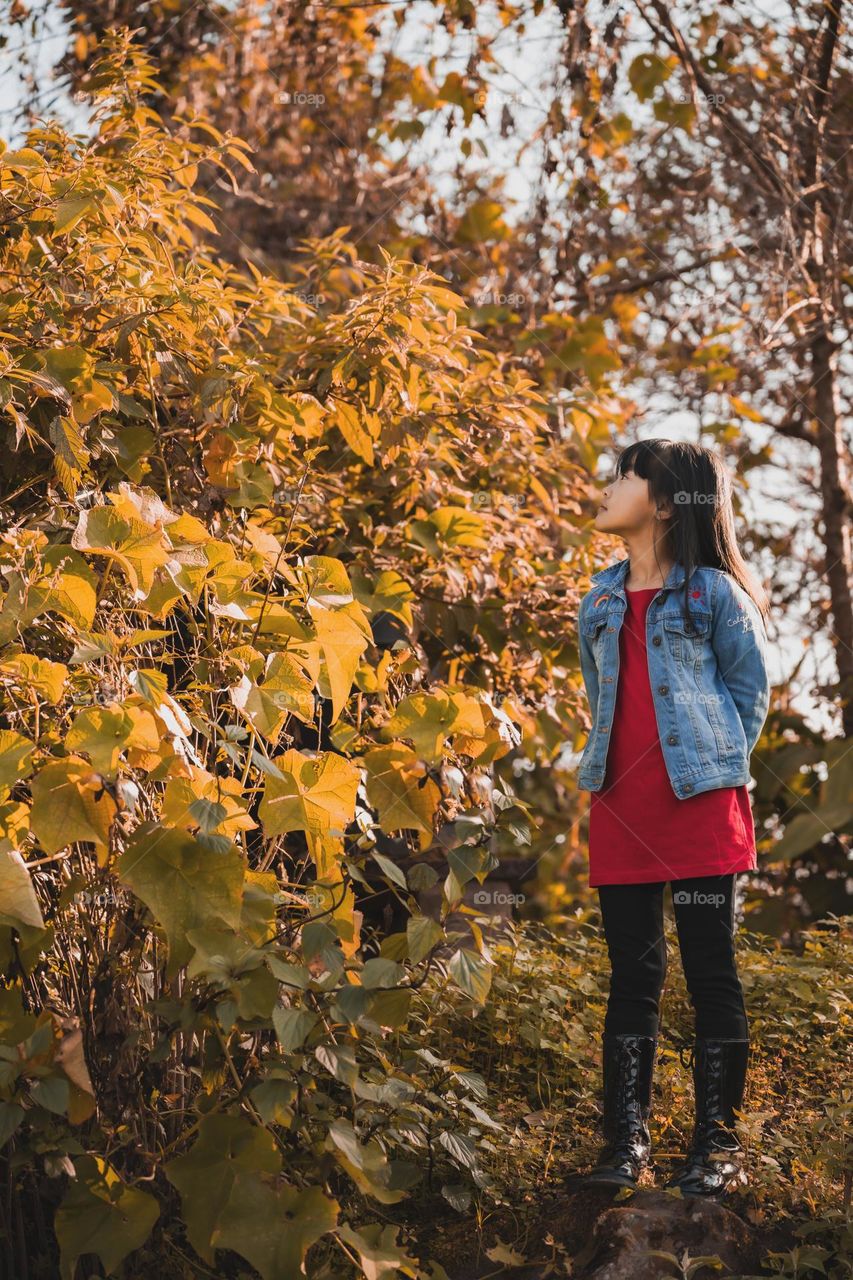 A young little girl looking at the beauty of fall colours, Autumn photography.