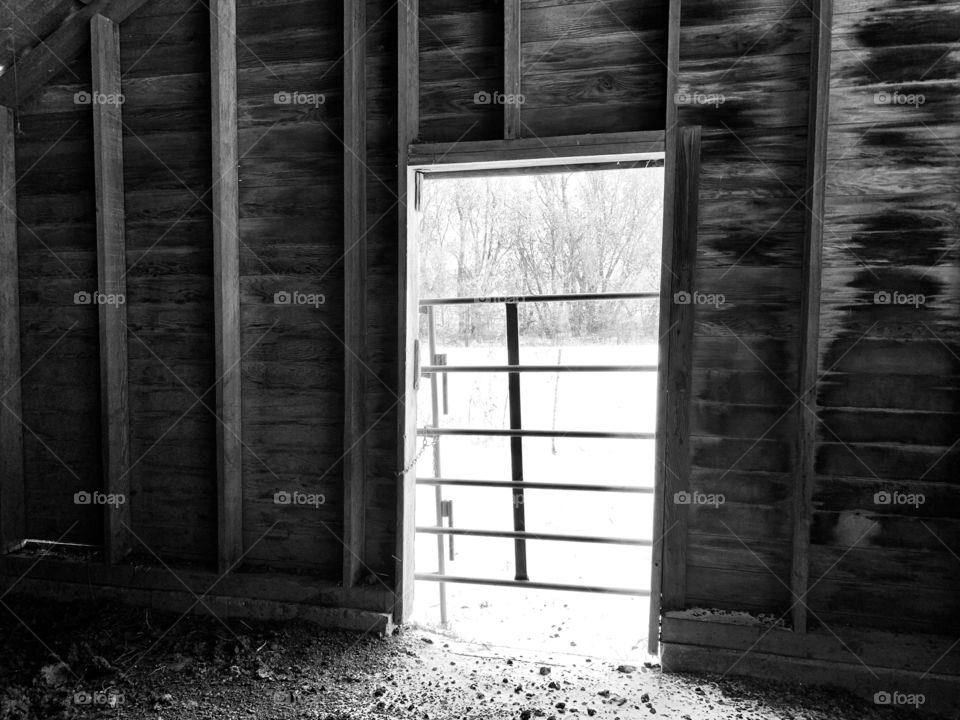 View through cattle gate across a barn door to a wintry tree line across a snowy field 