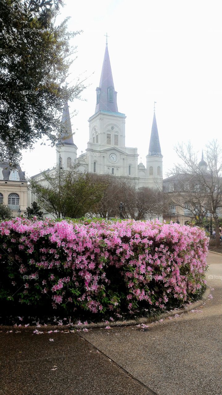 Jackson Square New Orleans