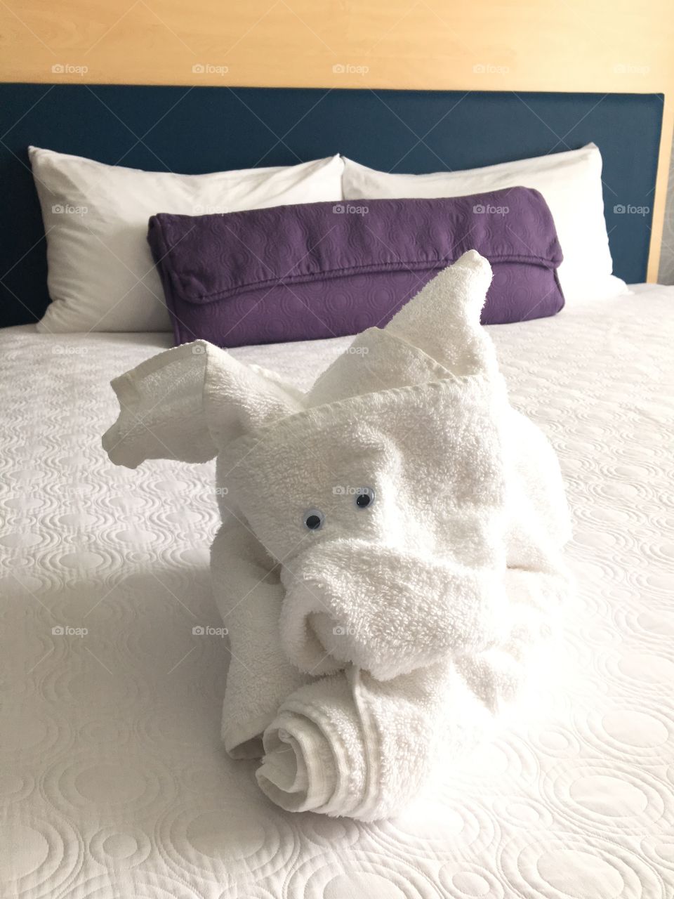 Towel Dog