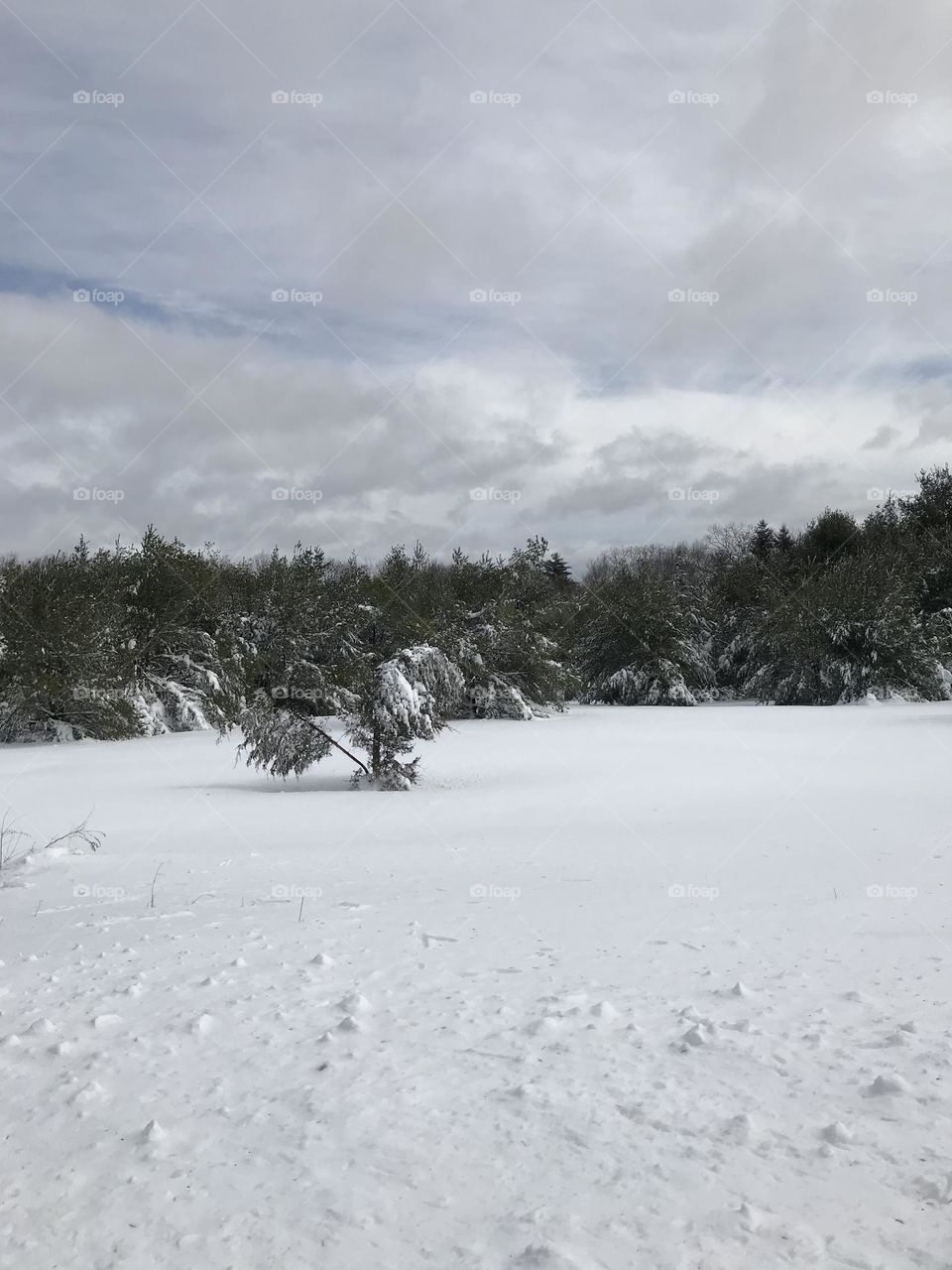 Winter days with a snow covered field