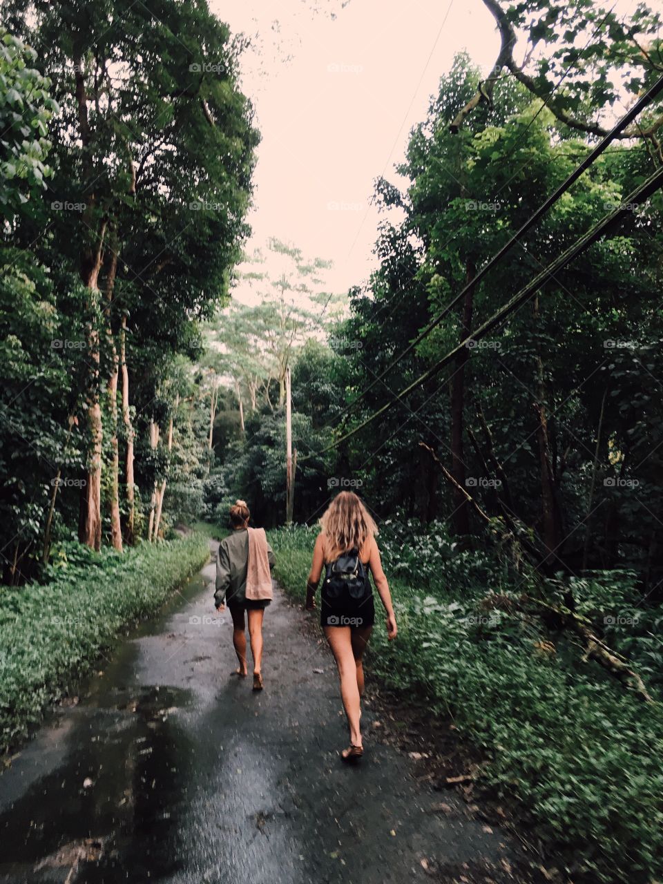 Hiking in the tropics with my best friend and a stranger 