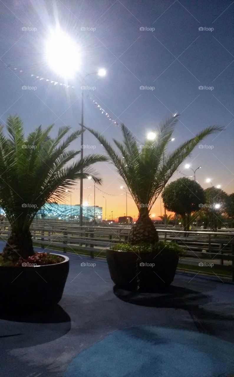 Olympic nark,Sochi_Aidler