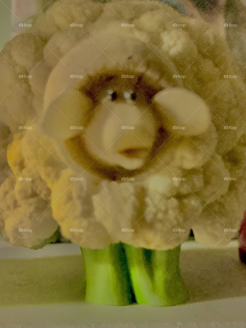 Cauliflower sheep 