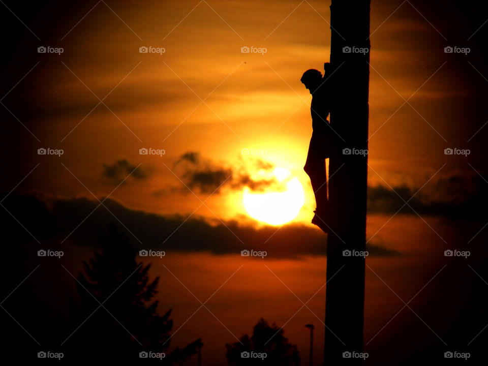 beautiful sunset in the evening