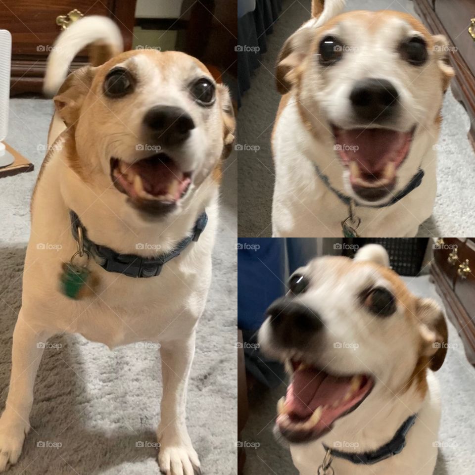 Did you hear about...