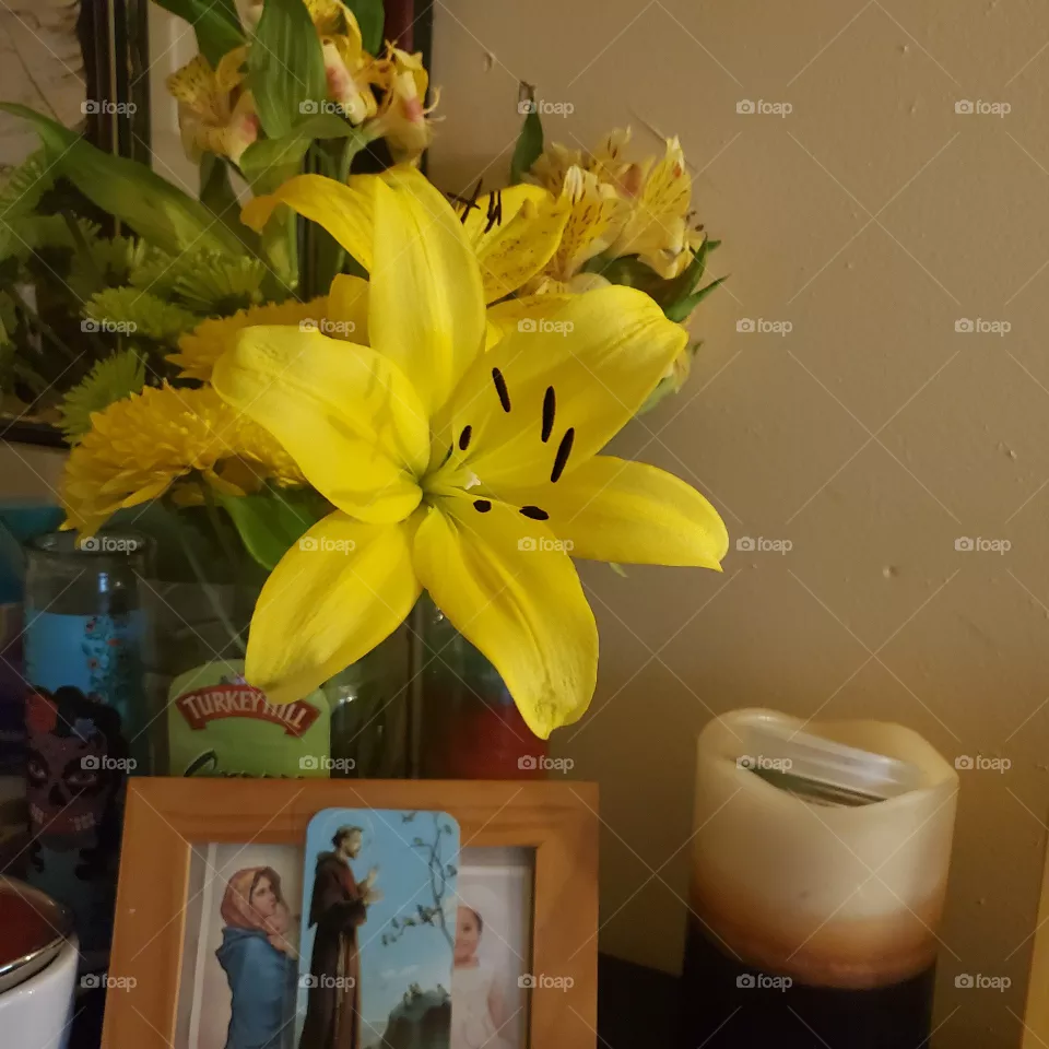 yellow flowers