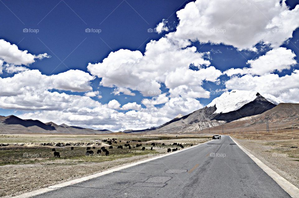 The road to Lhasa. Tibet 