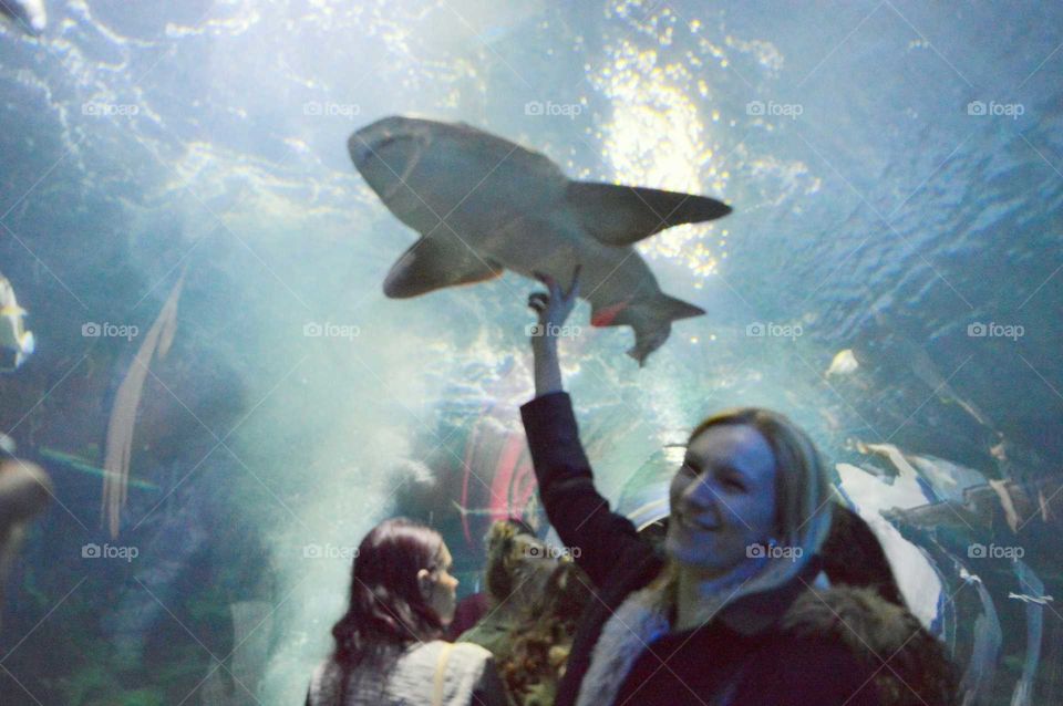 Woman in the aquarium tunnel