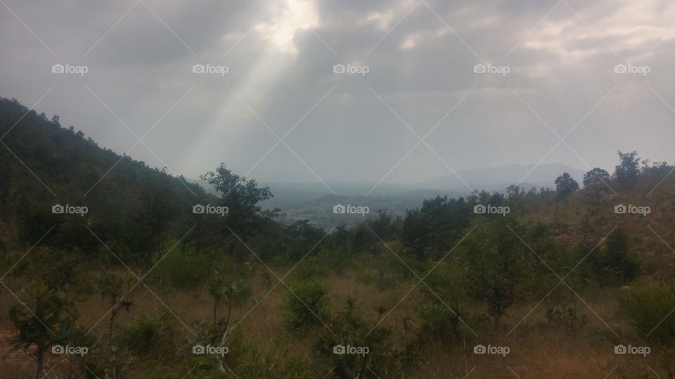Landscape, Tree, Sky, Mountain, Nature