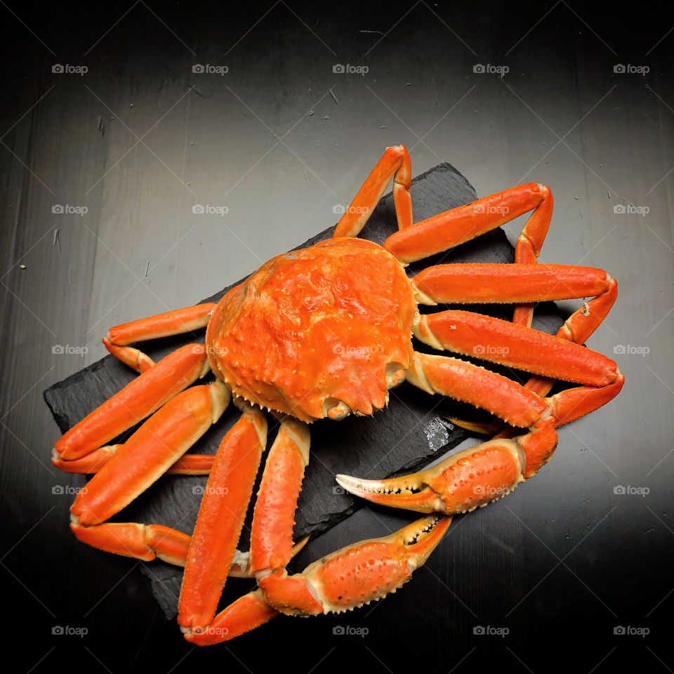 Freshly Cooled Whole Snow Crab from Quebec