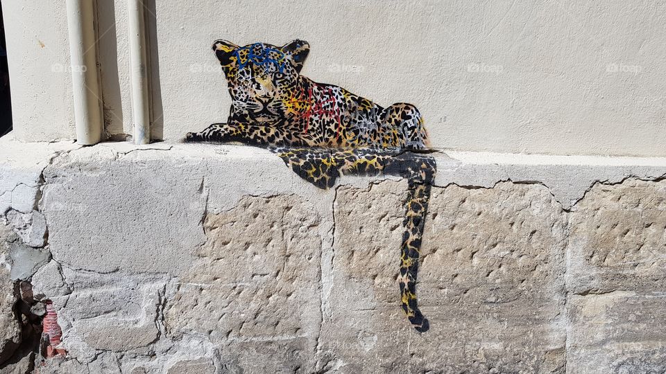 Streetart Graffiti Leopard France Montpellier