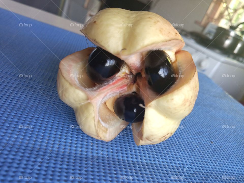 pod of Jamaican ackee